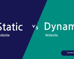 static vs dynamic websites